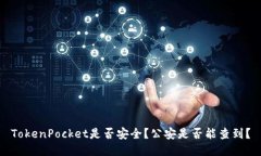 TokenPocket是否安全？公安是否能查到？