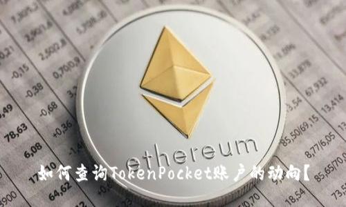 如何查询TokenPocket账户的动向？