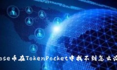 Rose币在TokenPocket中找不到怎么办？