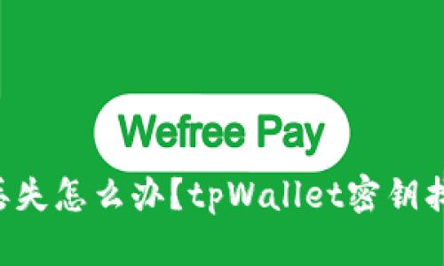 tpWallet密钥丢失怎么办？tpWallet密钥找回方法大揭秘！