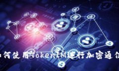 如何使用TokenIM进行加密通信？