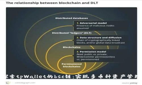 探索tpWallet的bsc链：实现多币种资产管理