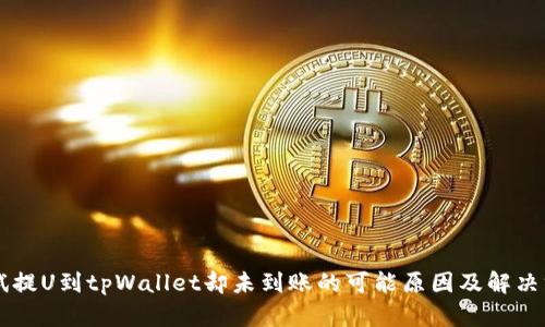 尝试提U到tpWallet却未到账的可能原因及解决方法