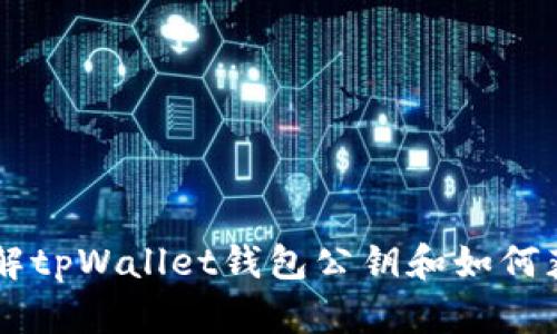 了解tpWallet钱包公钥和如何获取