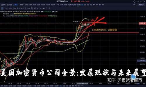 美国加密货币公司全景：发展现状与未来展望