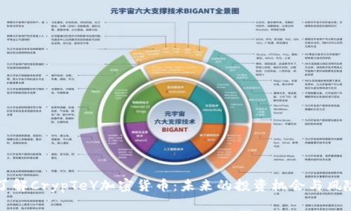 深入了解CrypTeY加密货币：未来的投资机会与风险分析